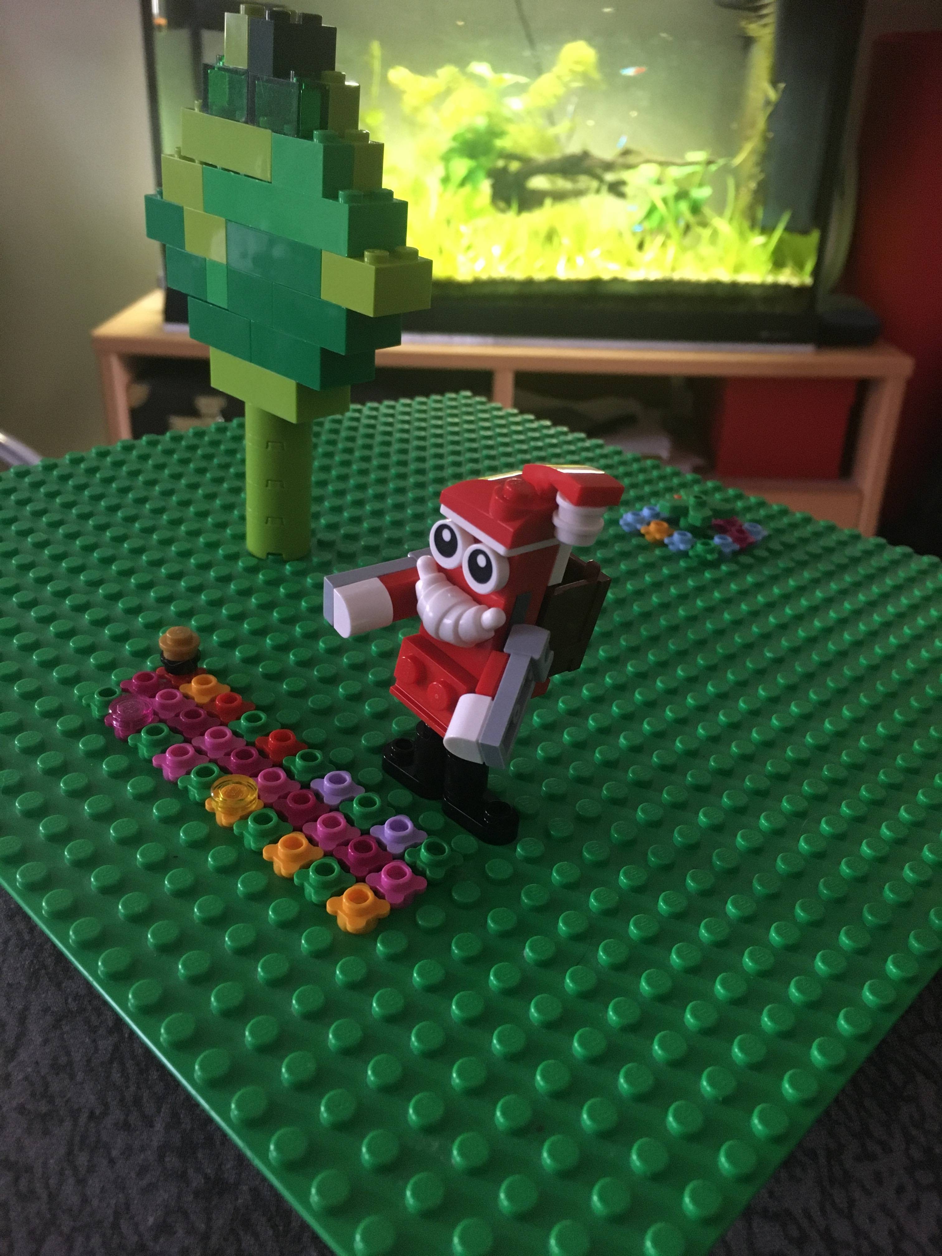Le parterre de fleurs du p&egrave;re Bricky No&euml;l
