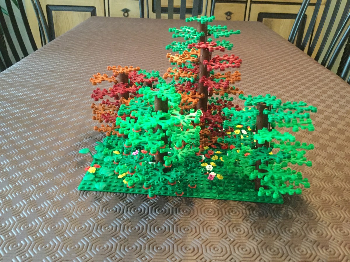 La for&ecirc;t de Plobsheim