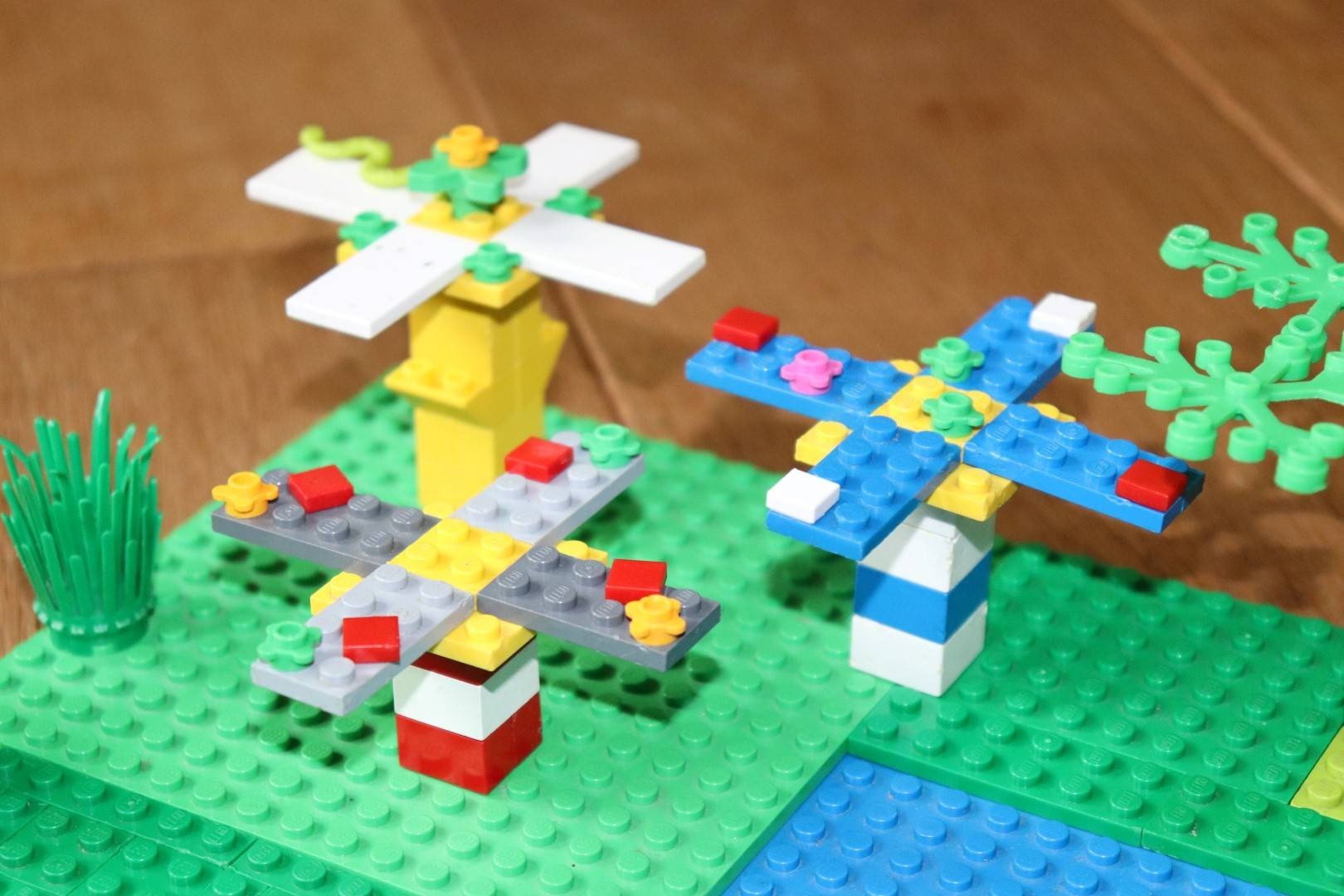 Les grosses fleurs du lac